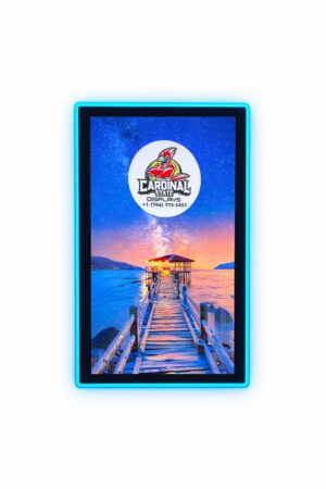 43 inch touchscreen monitor for skill machines