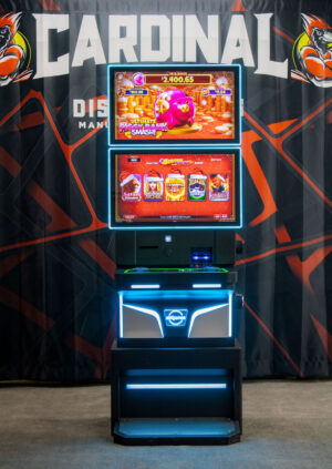 27” Dual Screen Metal Cabinet - Monitors Included